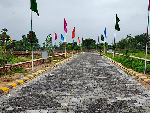 Land in Goner