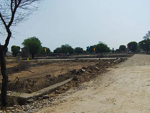 Plot in Bindayaka