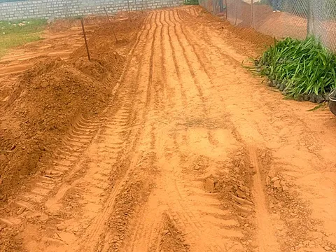 Plot in Bindayaka