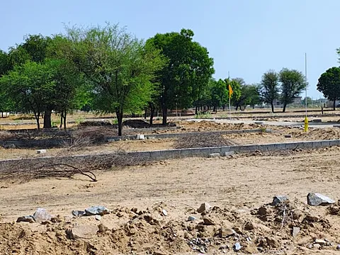 Plot in Bindayaka