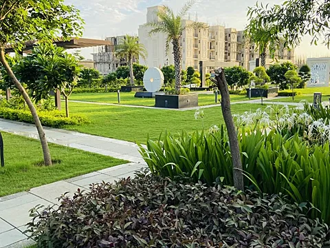 Luxurious 3BHK Flat