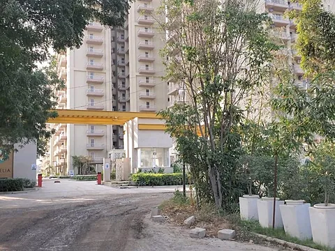 Modern 1BHK Apartment