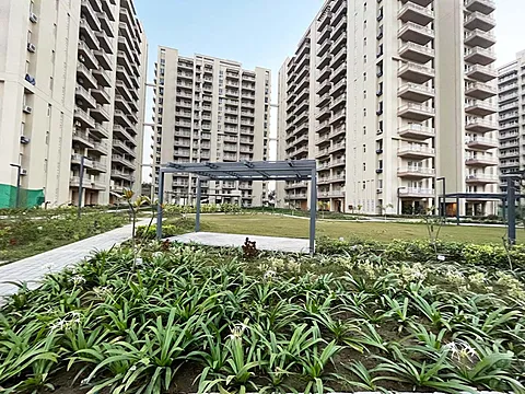 Ultra Fully Specious 2BHK Apartment
