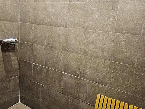 3+1 BHK Apartment