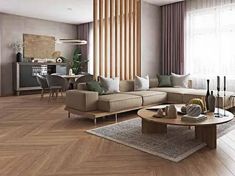2 BHK Apartment