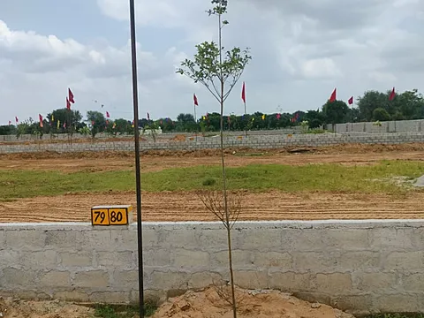 Residential Plot