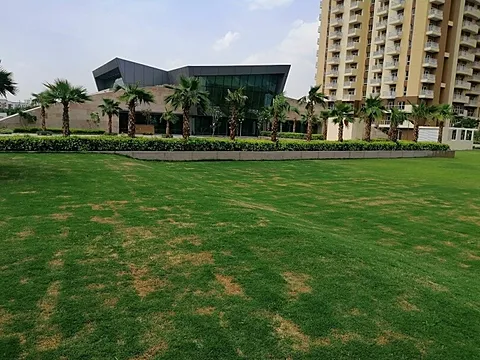 Luxurious 2 BHK Apartment
