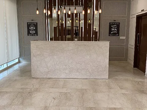 Luxurious 2 BHK Apartment