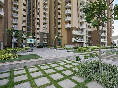Luxurious 3 BHK Apartment
