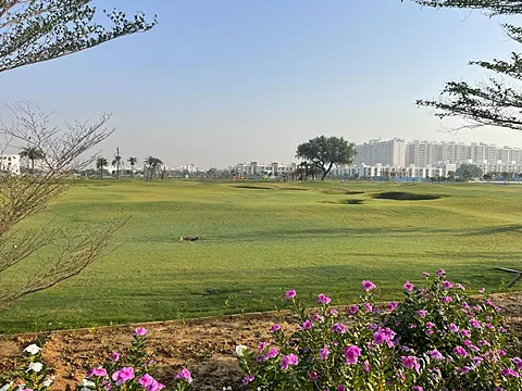 Residential Land