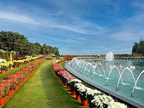Beautiful 3 BHK Apartment