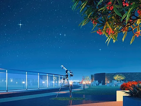 3 BHK Apartment