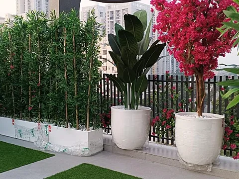 Beautiful 3 BHK Apartment