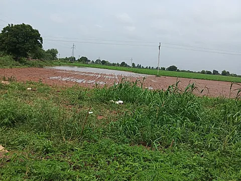 Agriculture Land