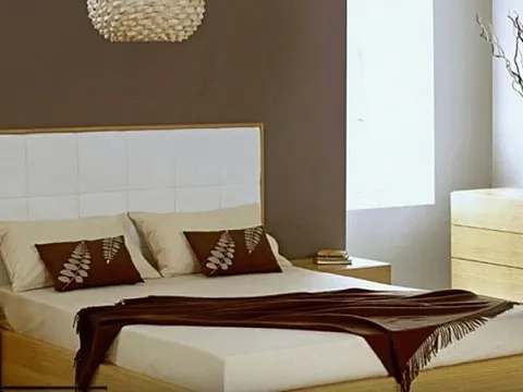 Luxurious 2 BHK Apartment