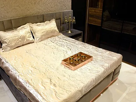 Beautiful 3 BHK Apartment + 1 Carpark