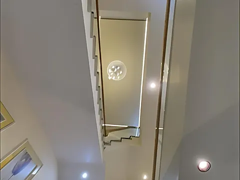 Luxurious 4 BHK Villa