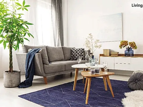 Luxurious 2 BHK Apartment