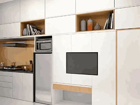 Luxurious 1BHK Apartment