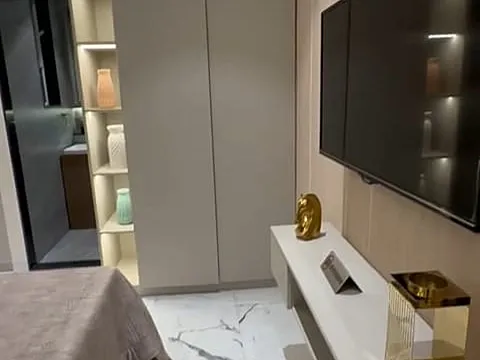 Luxurious 1 BHK Apartment