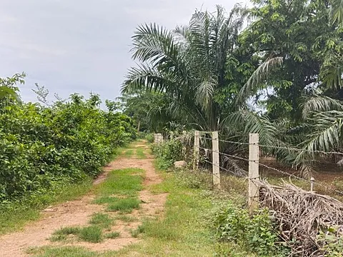 214 Acres Agriculture Land