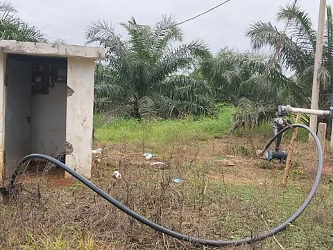 214 Acres Agriculture Land