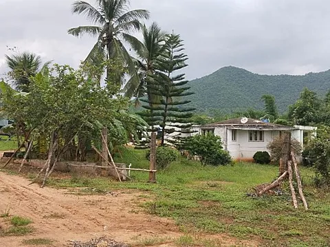 214 Acres Agriculture Land