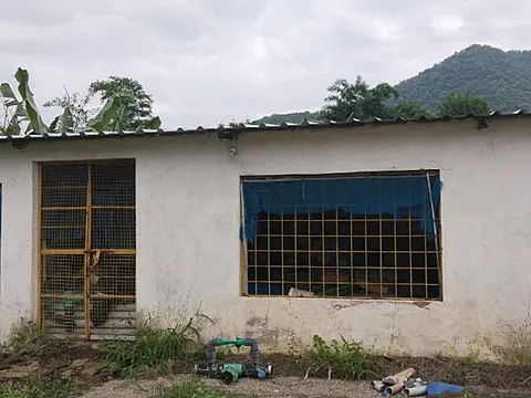 214 Acres Agriculture Land