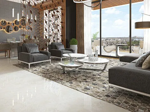 Luxurious 2 BHK Apartment
