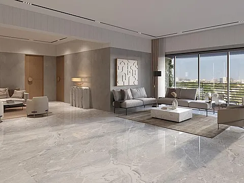 Luxurious 5 BHK Pent House
