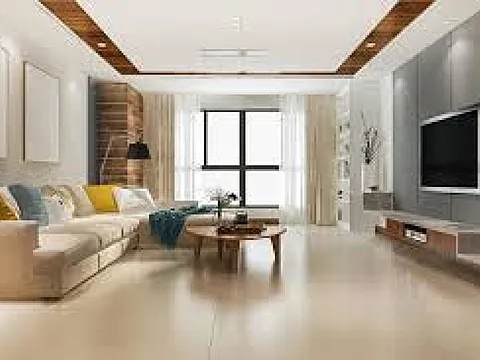 Ultra Luxurious 3 BHK Apartment