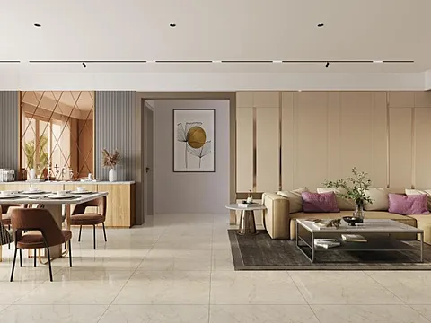 Ultra Luxurious 3 BHK Apartment