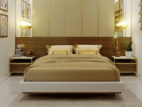 Ultra Luxurious 3 BHK Apartment